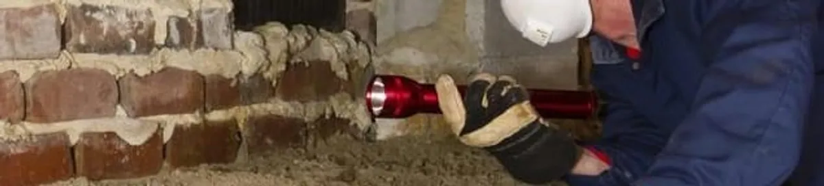 Pest control technician inspecting a crawl space for ant activity and entry points in Dover, DE