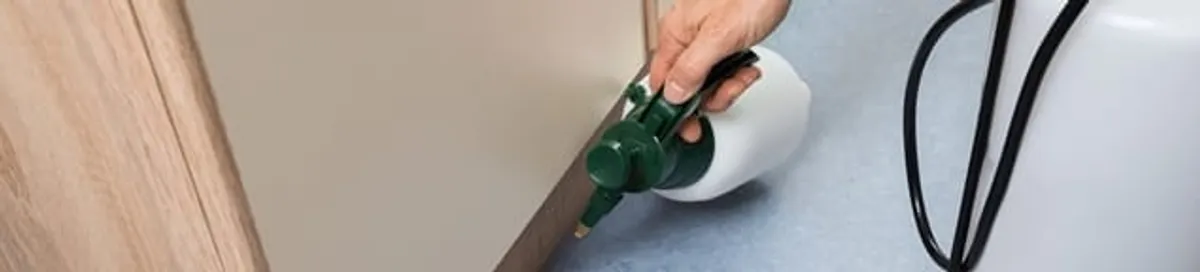 Bed bug exterminator treating baseboards and cracks with targeted spray in Dover, DE