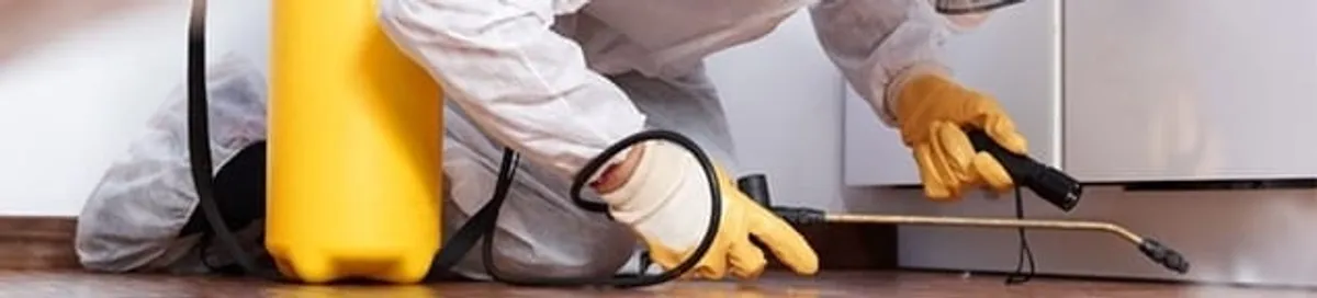 Roach exterminator treating cracks and crevices along kitchen baseboards in Dover, DE