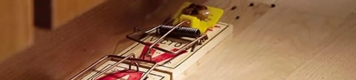 Rodent trap set indoors for rodent control and prevention in Dover, DE